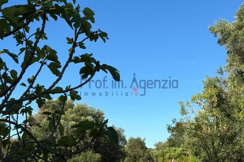 Landejendom i Ostuni, Brindisi, Ostuni - € 70.000 | Ref: 172708 - foto 22